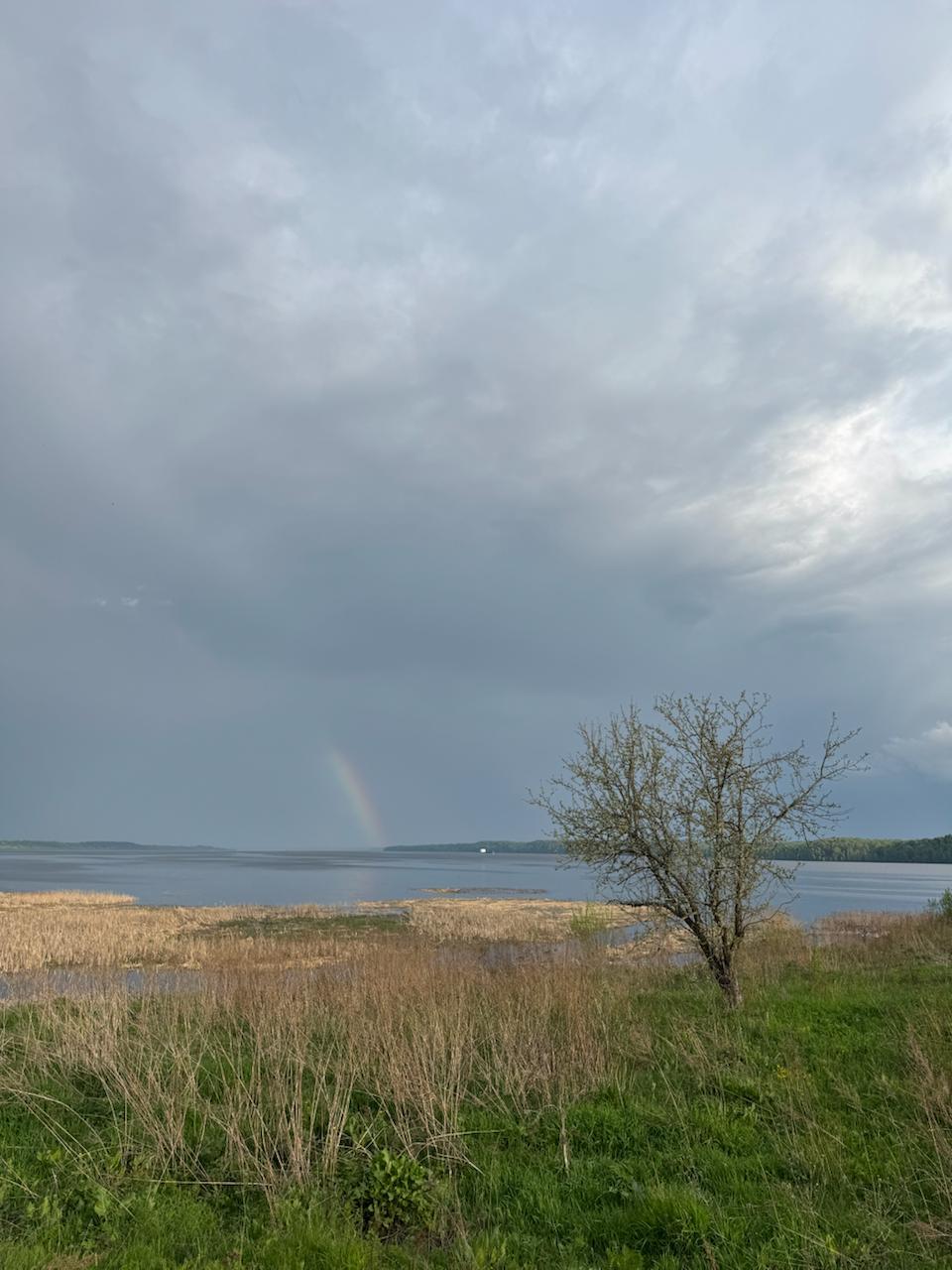 Красота природы даётся нам в утешение